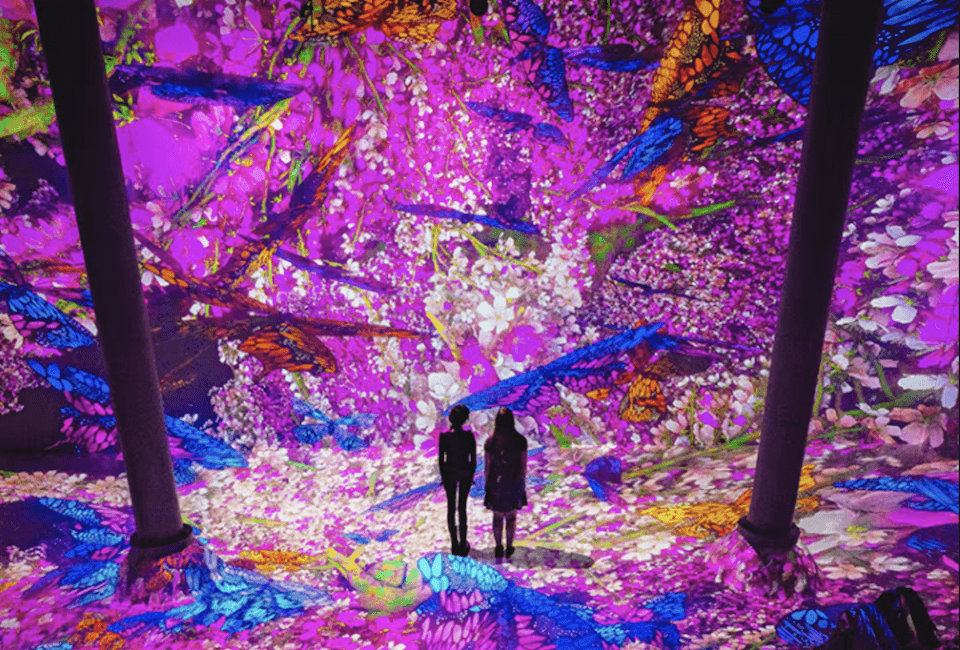 Artechouse: Blooming Wonders - Family event at ARTECHOUSE NYC in NYC