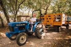 Queens County Farm Hayrides! - Family event in Queens Farm Park