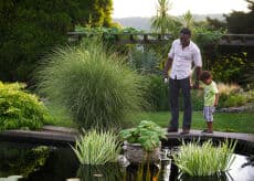 Father's Day 2025 - Family event at Wave Hill in NYC