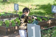 Special Urban Farm Open Hours - Family event in Randall's Island Park