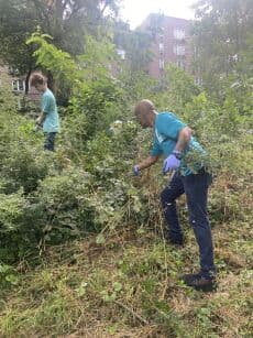 Gardening Thursday at Shoelace Park - Family event at Shoelace Park in NYC