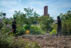 BioBlitz for Beavers! - Family event at Concrete Plant Park in NYC