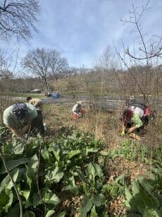 Gardening Thursday at Shoelace Park, Bronx - Family event at Bronx Park in NYC